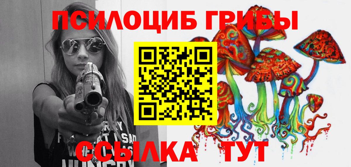 где можно купить   Вход с VPN  Ишим  Галлюциногенные грибы мухоморы  Галлюциногенные грибы Psilocybe 