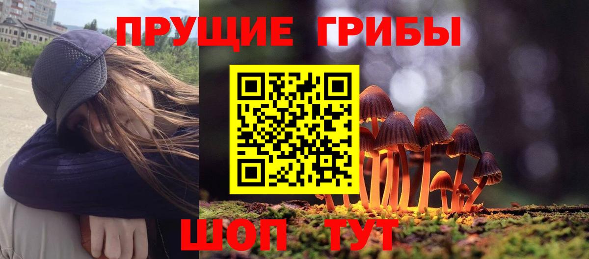Псилоцибиновые грибы GOLDEN TEACHER Ишим